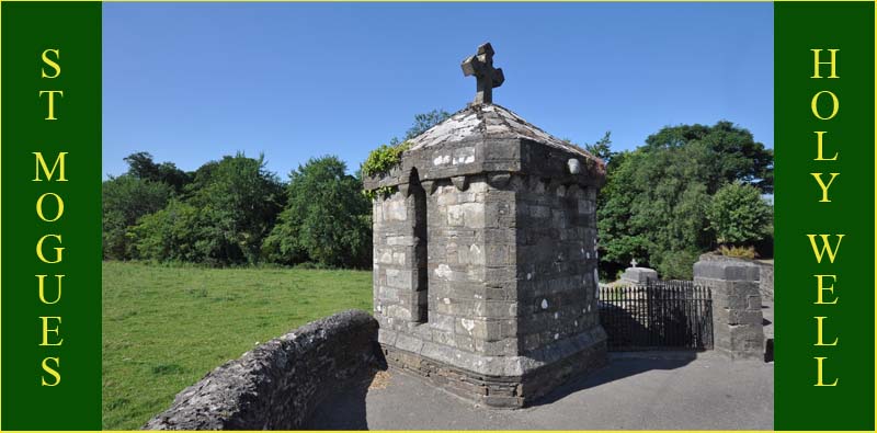 St Mogue's Well, Ferns